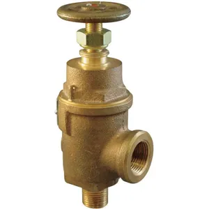 KUNKLE 0019-G10-MG0050 Adjustable Relief Valve 1-1/2 Inch 50 Psi | AE4WPH 5NKW1