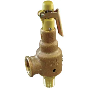 KUNKLE 6010JHV01-KM0200 Safety Relief Valve 2 x 2-1/2 Inch 200 Psi | AE4WTK 5NLE2