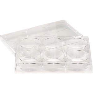 CELLTREAT 229506 Non-treated Plate 6 Well - Pack Of 100 | AC7DFM 38C820