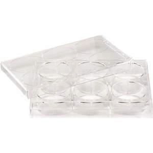 LAB SAFETY SUPPLY 667112 12 Well Tissue Culture Plate With Lid - Pack Of 50 | AA3HYC 11L794