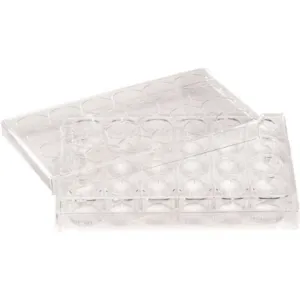 CELLTREAT 229548 Non-treated Plate 48 Well - Pack Of 100 | AC7DFQ 38C823