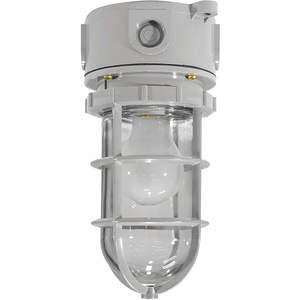 LARSON ELECTRONICS LLC HAL-CRNM-LED7W-HV-CLG-56K gefährliche Beleuchtungskörper Decke | AH9DRQ 39UR85
