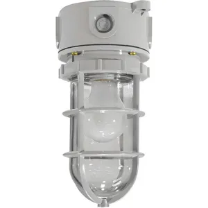 LARSON ELECTRONICS LLC HAL-CRNM-LED7W-HV-CLG-56K Hazardous Lighting Fixtures Ceiling | AH9DRQ 39UR85