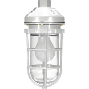 LARSON ELECTRONICS LLC HAL-CRNM-LED7W-HV-PND-56K Hazardous Lighting Fixtures Pendant | AH9DRN 39UR83