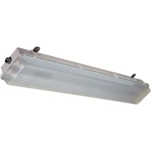 LARSON ELECTRONICS LLC HALP-EMG-48-2L-T8-PND Hazardous Location Fixture T8 64w | AF6WXA 20LM73