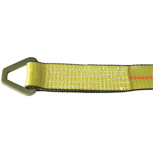 LIFT-ALL TE60504 Tiedown Ratchet Strap Assembly 1600 Lb Triangle | AC7ZEN 38Z964