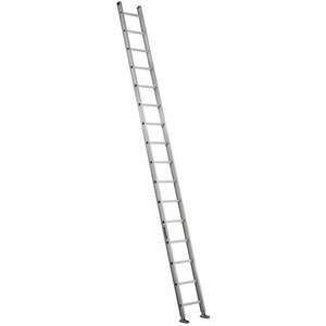 LOUISVILLE AE2116 Straight Ladder 300 Lb. Aluminium | AC7AHN 36Y337