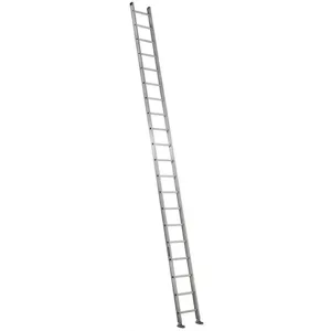 LOUISVILLE AE2120 Straight Ladder 300 Lb. Aluminium | AC7AHQ 36Y339