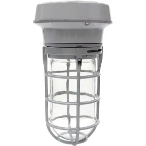 LUMAPRO 21R879 Vapor Tight Fixture 100w Mh Pendant | AB6HNW