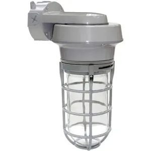 LUMAPRO 21R880 Vapor Tight Fixture 100w Mh Wall | AB6HNX