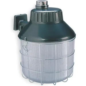 LUMAPRO 2LBL6 Security/area Lighting Mh Watts 100 | AC2MHE