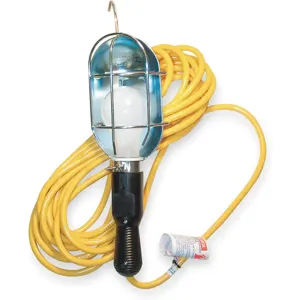 LUMAPRO 2W243 Incandescent Hand Lamp | AC3TMC