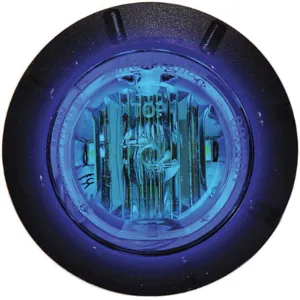 MAXXIMA M09400BCL Courtesy Light 6 Led 1-1/4in Round Blue | AE8TDZ 6FDZ5