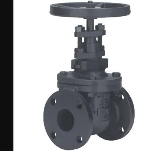 MILWAUKEE VALVE 2882-M26- 212 Gate Valve Class 125 2-1/2 Inch | AE4TGJ 5MPH5