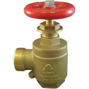 MOON AMERICAN 170-2521 Angle Valve 2.5 Inch Fnpt x Mnh Brass Rising | AE7VJP 6APG9