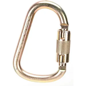 MSA 10089207 Carabiner Steel 4-9/10 Inch Length Auto-lock | AB7TCT 23Z855