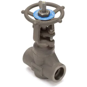 NEWCO 01-18S-FS2-WB Gate Valve 1 Inch Socket Weld | AC6HWU 33Z874