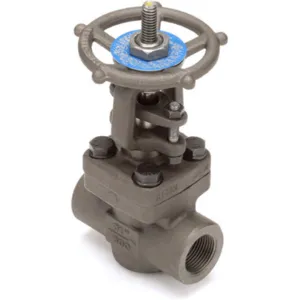 NEWCO 01-18T-FS2-BB Gate Valve 1 Inch Carbon Steel | AC6HWP 33Z870