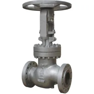 NEWCO 02-23F-CB2 Globe Valve 2 Inch Carbon Steel | AC6HWE 33Z861