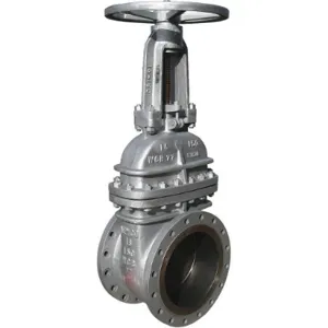 NEWCO 12-16F-CB2 Gate Valve 12 Inch Carbon Steel | AC6HWD 33Z860