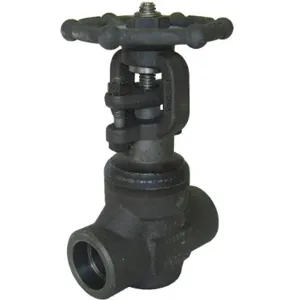 NEWCO 02-18S-FS2-WB Gate Valve 2 Inch Socket Weld | AC6HWV 33Z875