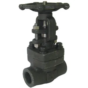 NEWCO 1/2-18T-FS2-BB Gate Valve 1/2 Inch Carbon Steel | AC6HWM 33Z868