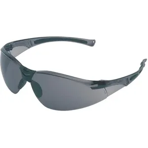 NORTH BY HONEYWELL A801 Safety Glasses Tsr Gray Scratch-resist | AD2EPW 3NUD5