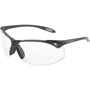 NORTH BY HONEYWELL A901 Safety Glasses Clear Antifog | AD2VPF 3UXU3