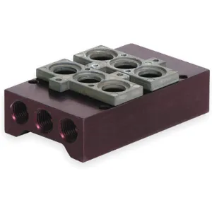 NUMATICS 206-1749 Manifold Block 2 Stations 1/4 Npt | AC9QWF 3JCP9