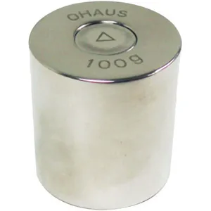 OHAUS 80850124 Calibration Weight 100g Stainless Steel | AE6EEJ 5RDA7