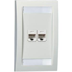 PANDUIT CFPE2WHY Faceplate Single Gang 2 Ports White | AE7QBH 5ZVZ9