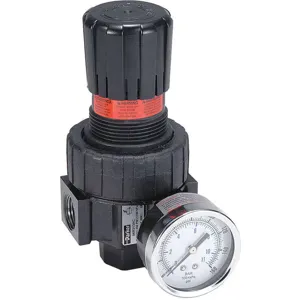 PARKER 06R118AC Air Regulator, Relieving Type, W/ 1/4 Inch Gauge Ports | AB6KGB 21U810