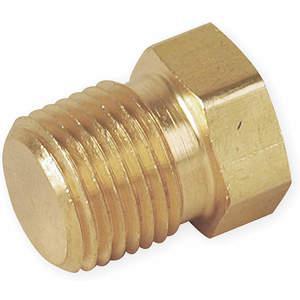 PARKER 6 PH-B Hex Head Plug Brass 3/8 Inch Npt | AA9HVV 1DGT5
