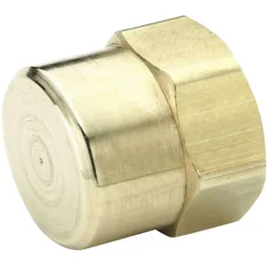 PARKER 213P-2 Pipe Fitting, 1/8 Inch Thread Size, Brass | AA6HLE 13Y907