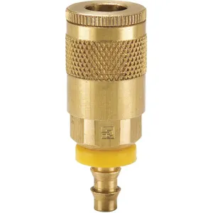 PARKER B10-5BP Quick Coupler, 1/4 Inch Size, 300 Psi, Brass | AC4WCD 30N365