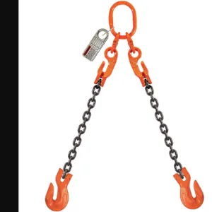 PEWAG 10G100DOGXK/10 Chain Sling G100 Dog Xk Alloy Steel 10 Feet | AC3PFR 2VCE8