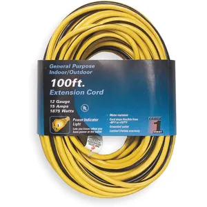 POWER FIRST 1FD57 Extension Cord 100 Feet | AA9UHA