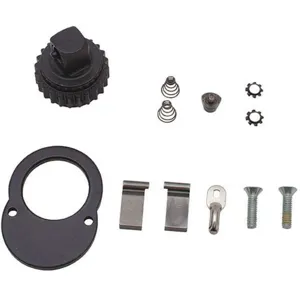 PROTO J6006RK-TT Ratchet Repair Kit 3/8 Inch Drive | AH9LJL 40JD26