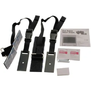 QUAKEHOLD! 4520 Flat Screen Safety Strap Black | AA4AKL 12C136