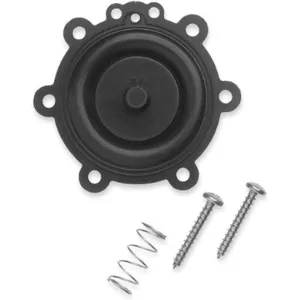 RAIN BIRD DRK-CP/CPF Diaphragm Replacement Kit Plastic | AB4JTT 1YHB3