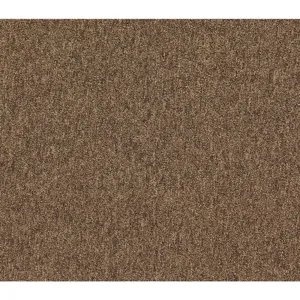 GRAINGER 31HL69 Carpet Tile 19-11/16 Inch Length Coffee Pk 20 | AG2EGG