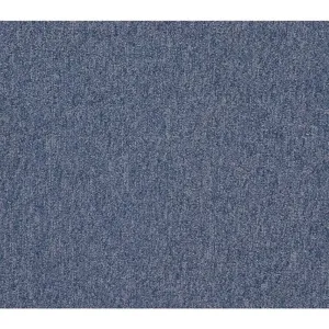 GRAINGER 31HL70 Carpet Tile 19-11/16 Inch Length Blue Pk 20 | AG2EGH