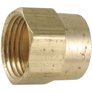 GRAINGER 707482-1212 Female Adapter Low Lead Brass 500 psi | AG9MQN 20XR12