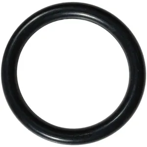 GRAINGER D107 O-Ring | AJ2ADV 46G929