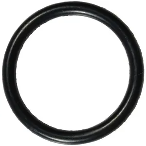 GRAINGER D135 O-Ring | AJ2AEW 46G954