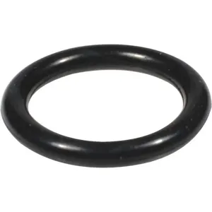 GRAINGER D141 O-ring | AJ2AFA 46G959