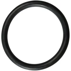 GRAINGER D143 O-Ring | AJ2AFC 46G961