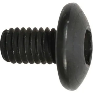 GRAINGER MH4DZR803G Screw M6x10 | AJ2BGM 46J511