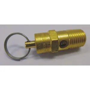 GRAINGER PN22N017G Pressure Relief Valve | AG9DMR 19NA64