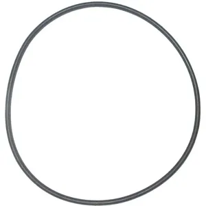 GRAINGER PPUP4006G O-Ring Seal Of Casing Cover | AG9XJB 23AW28